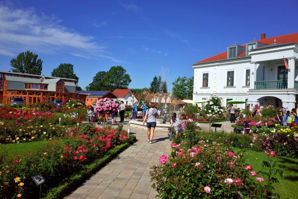 HU_Nagyar castle